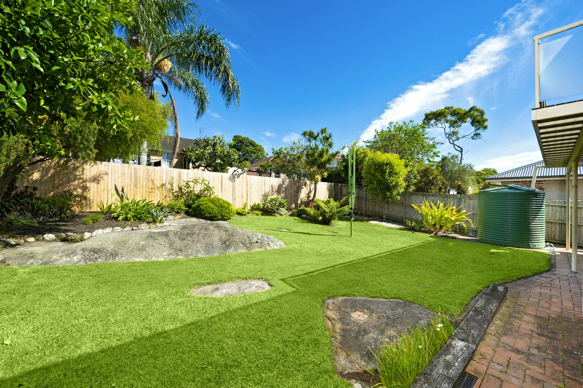Image of grass