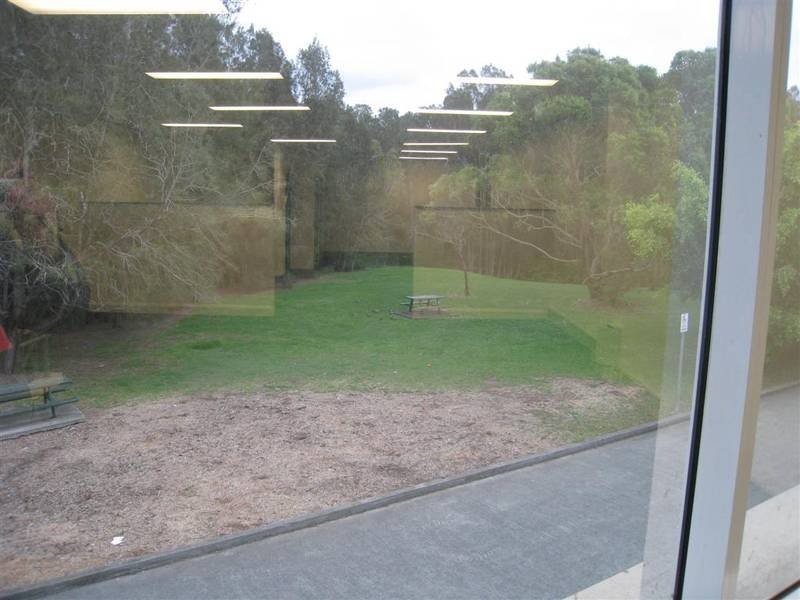 Image of backyard