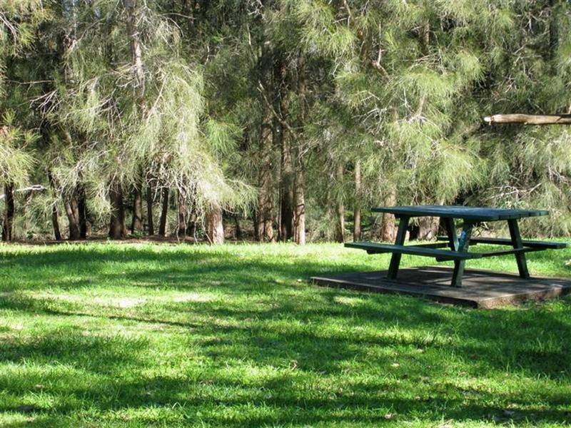 Image of grass