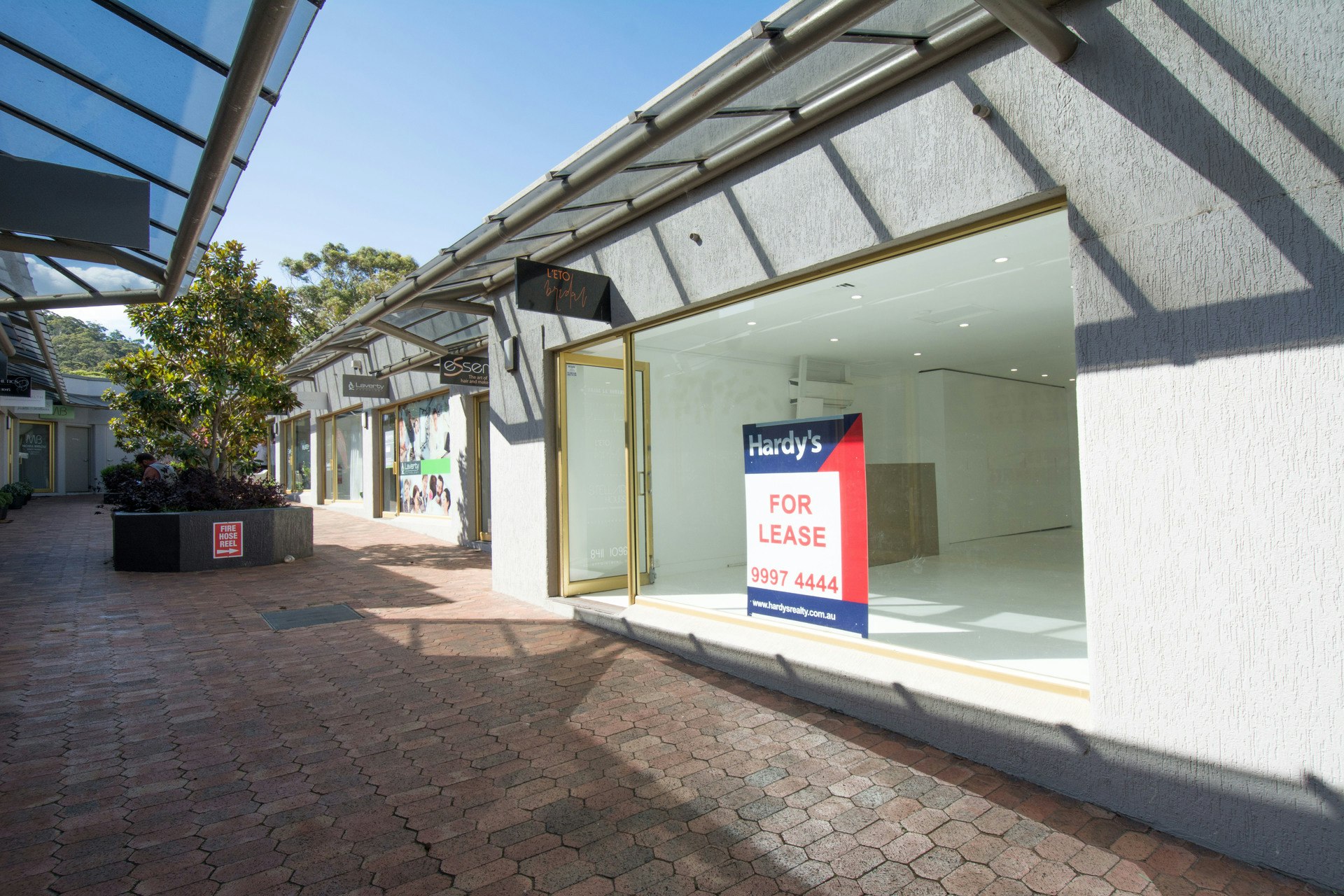 Image of path