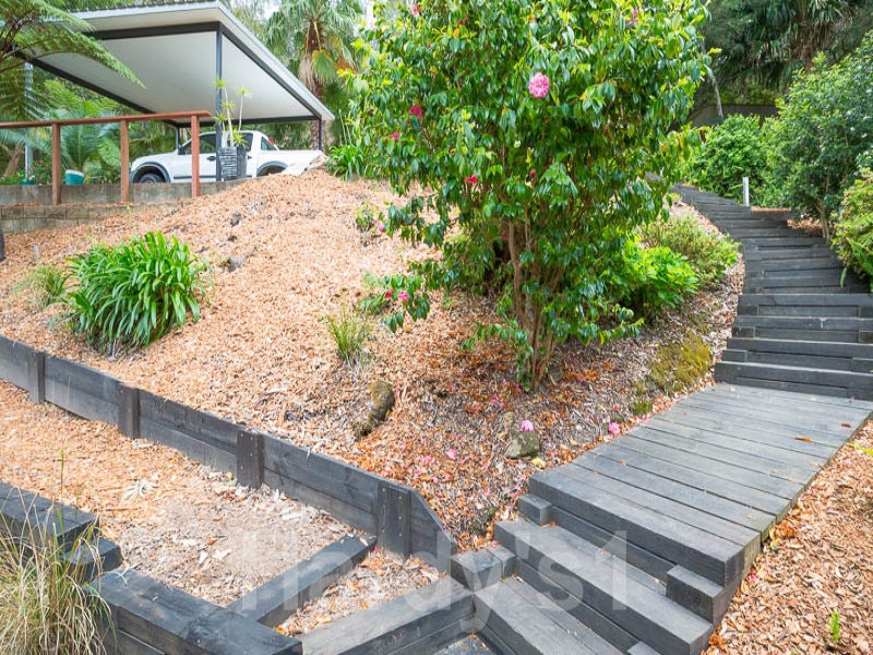 Image of backyard