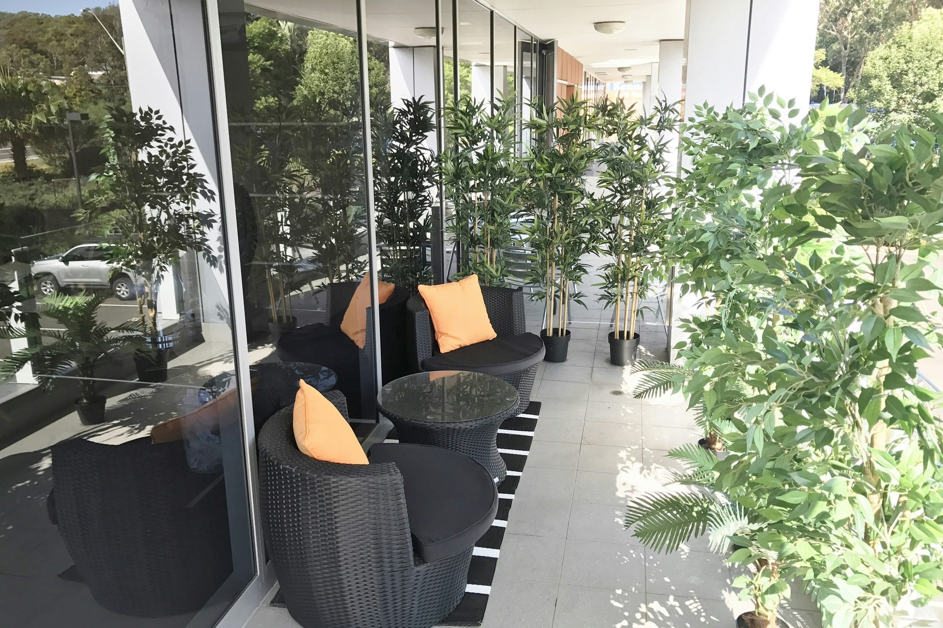 Image of plant
