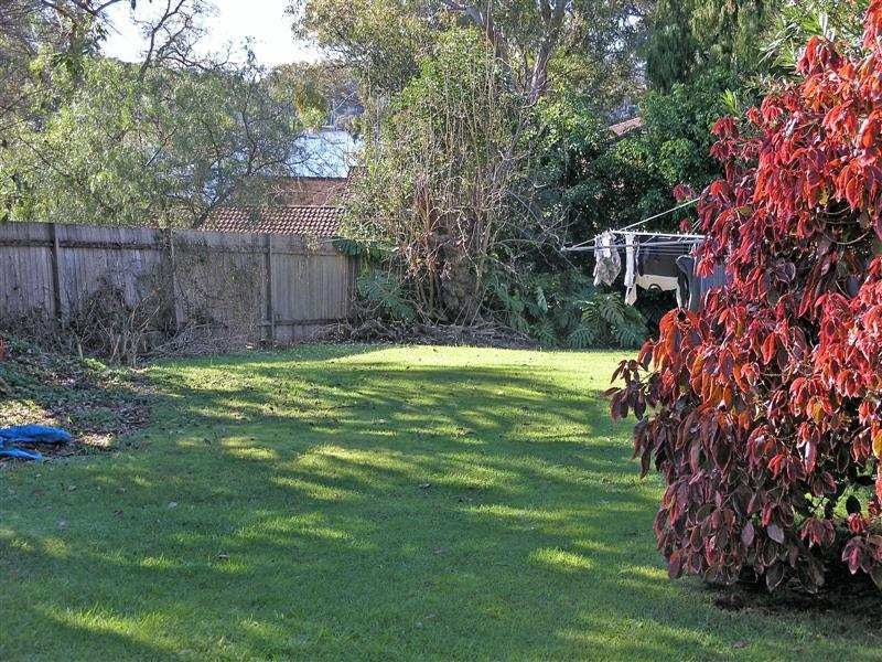 Image of backyard