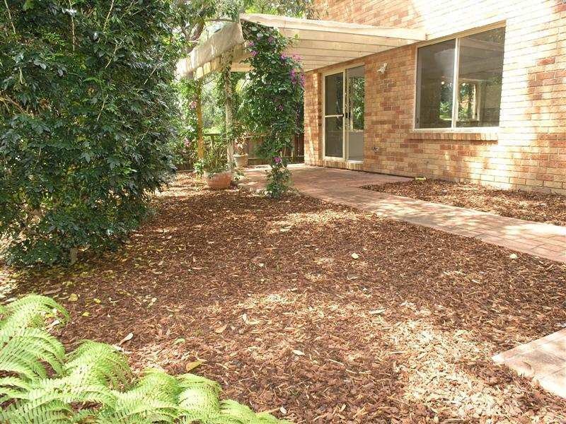 Image of backyard