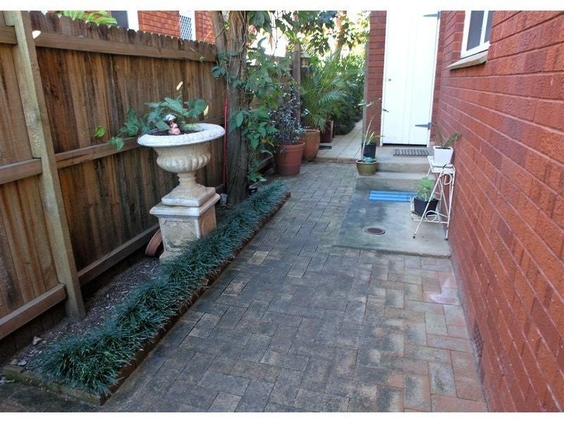 Image of backyard