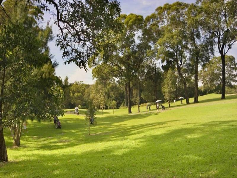 Image of grass