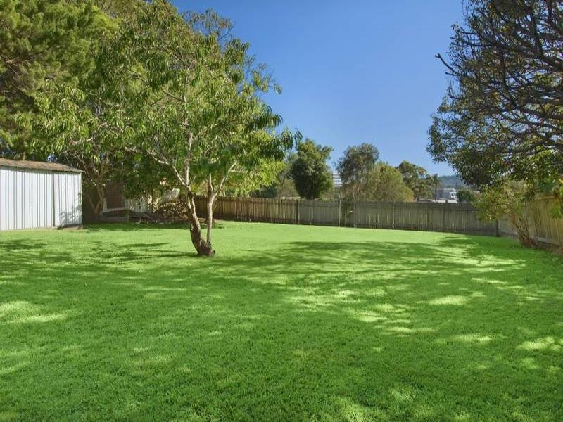 Image of backyard