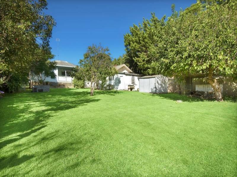 Image of grass