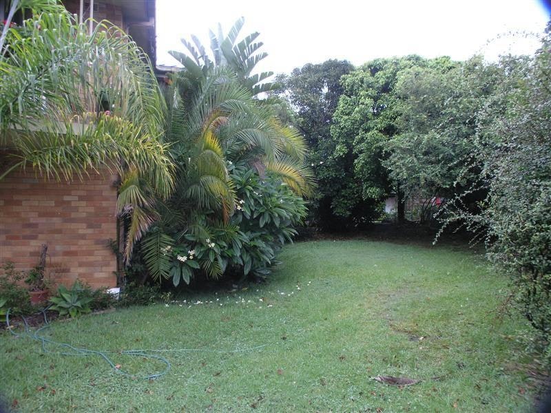Image of backyard