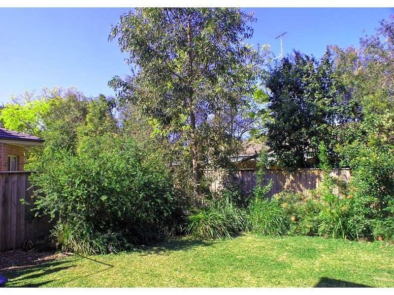 Image of backyard