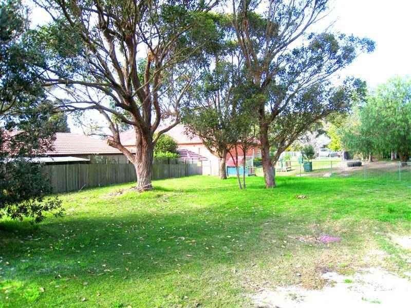 Image of backyard