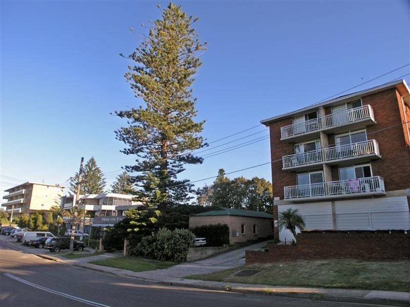 Image of tree