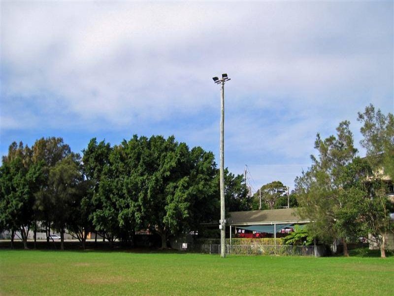 Image of grass