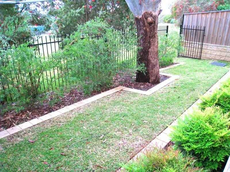 Image of backyard
