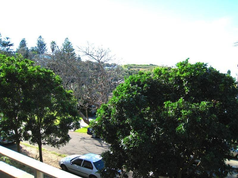 Image of vegetation