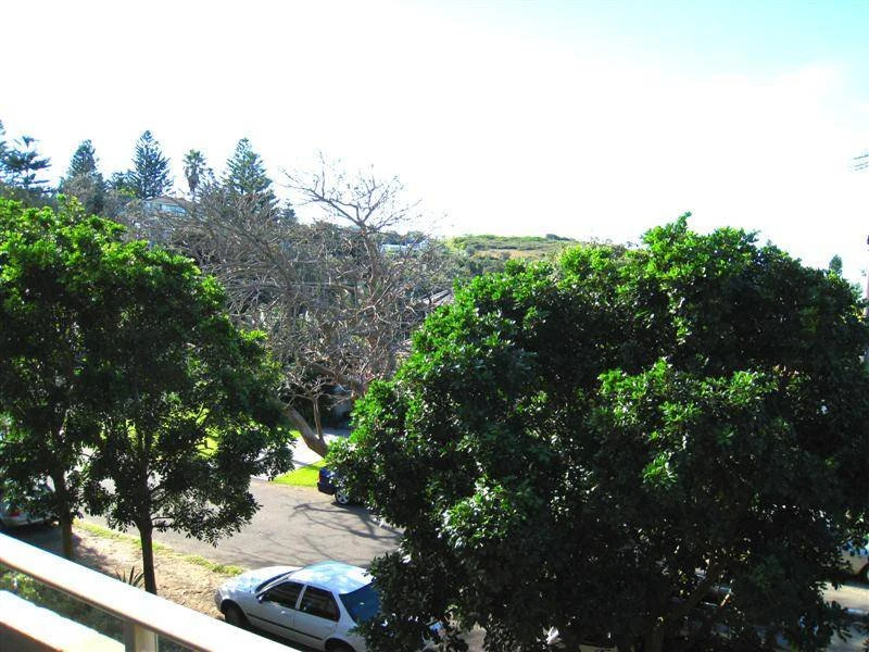 vegetation