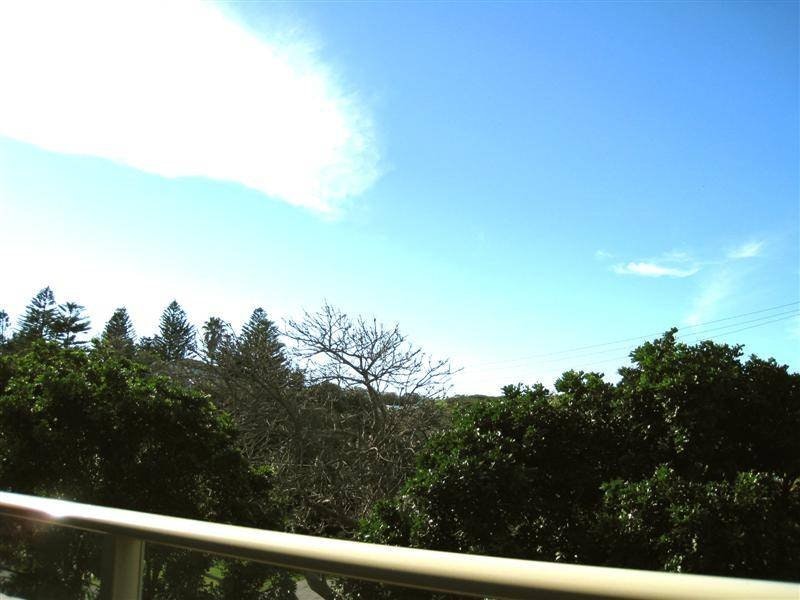 Image of vegetation