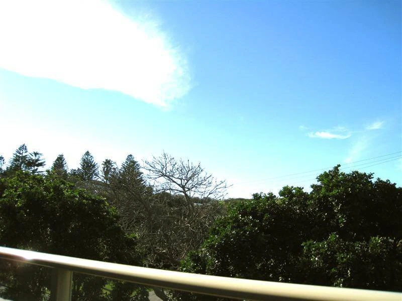 vegetation
