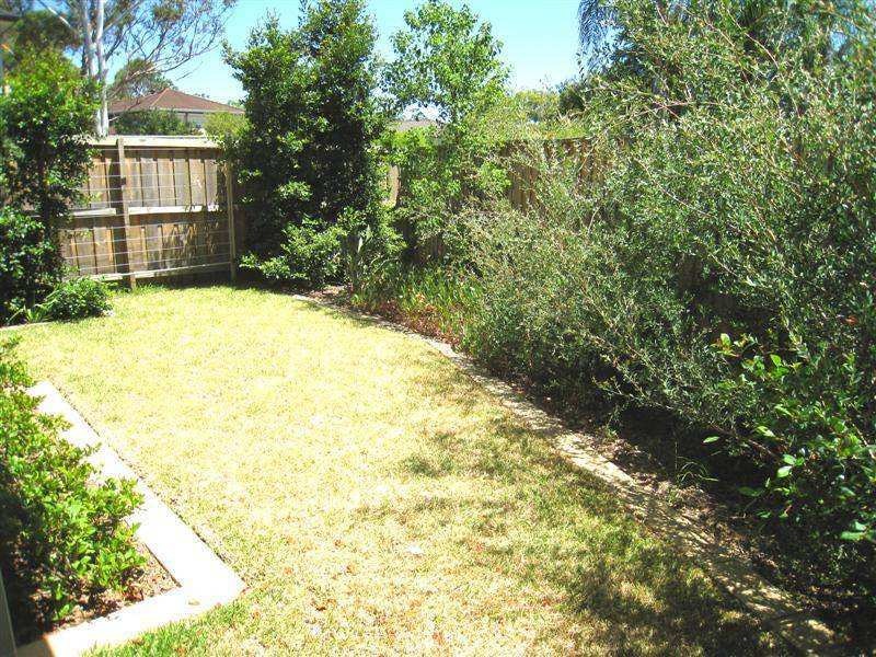 Image of backyard