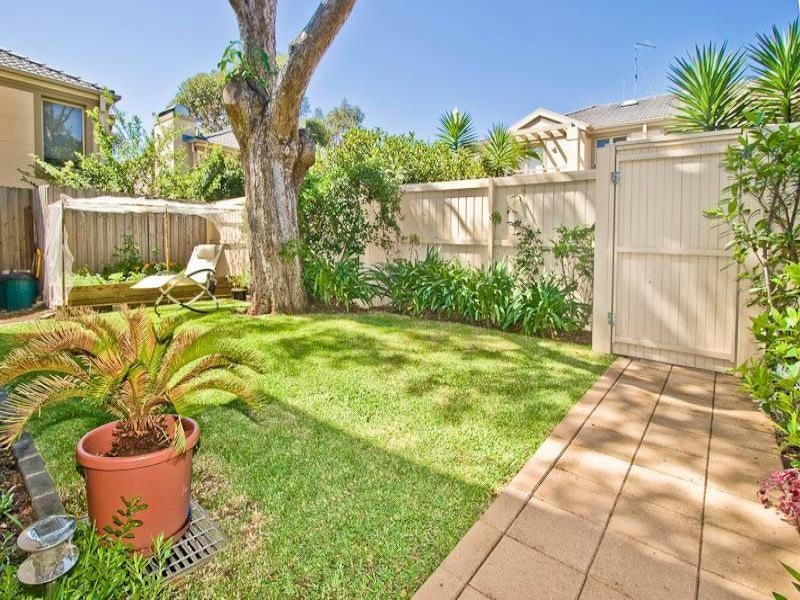 Image of backyard