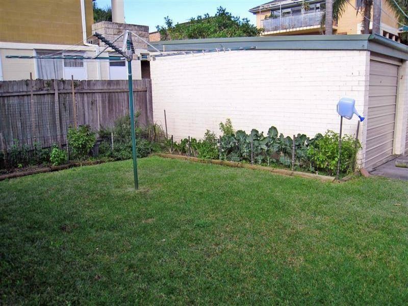 Image of backyard