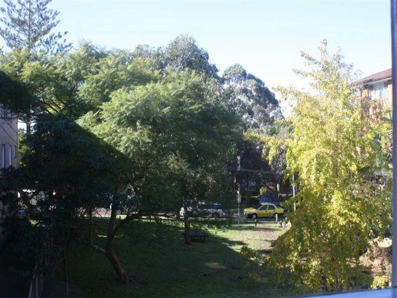 Image of backyard