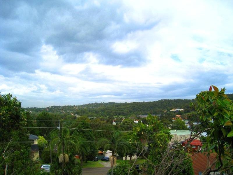 Image of vegetation