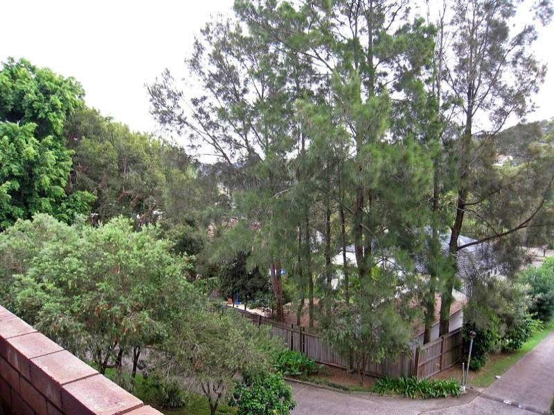 Image of tree