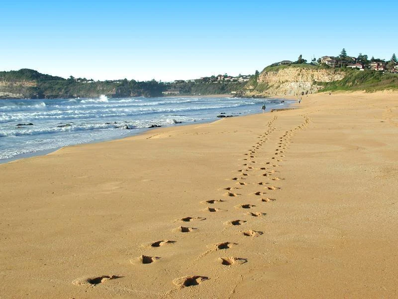 beach