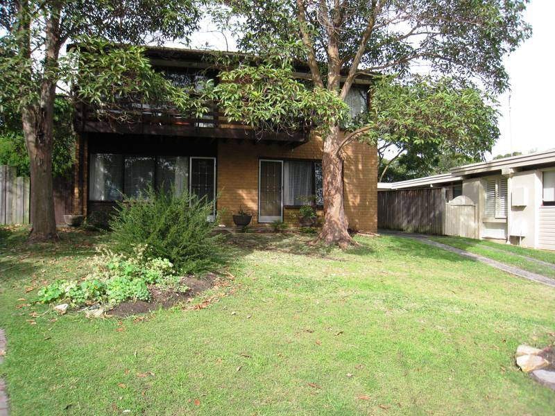 Image of backyard