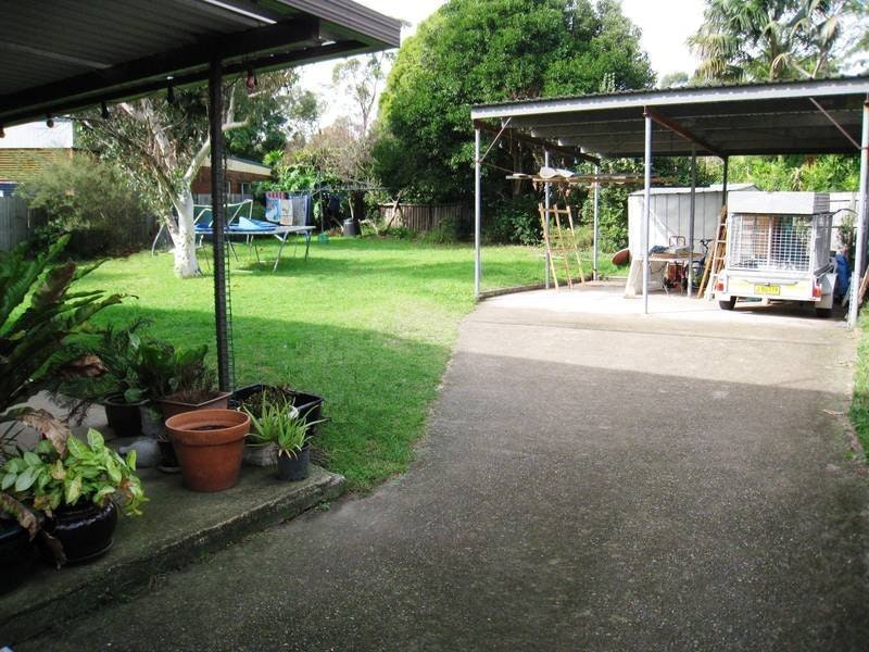Image of backyard