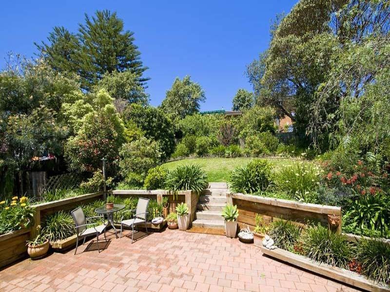 Image of backyard