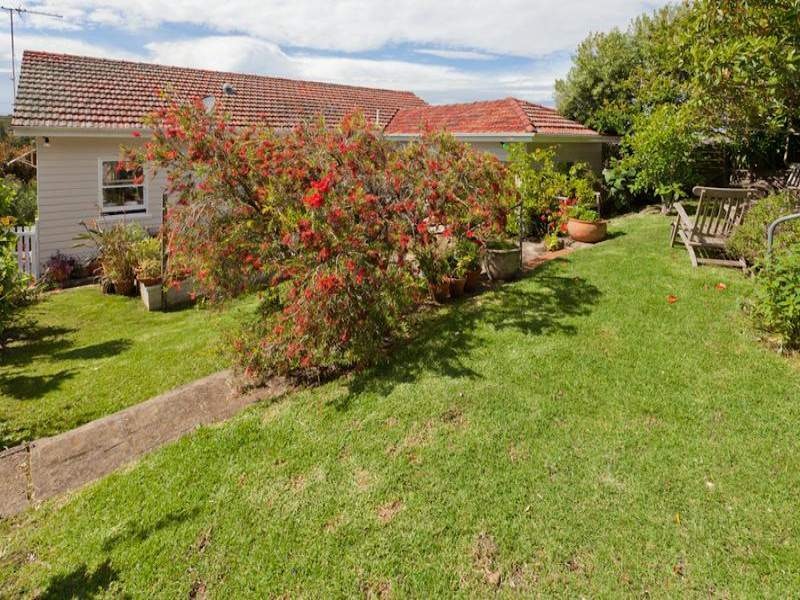 Image of backyard