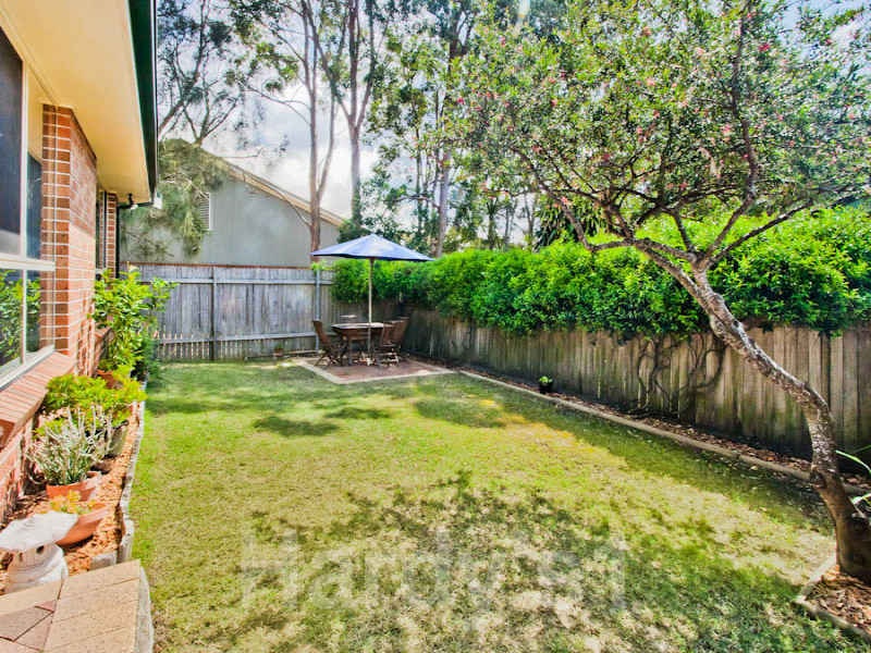 Image of backyard