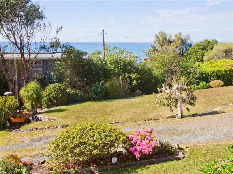 Image of backyard