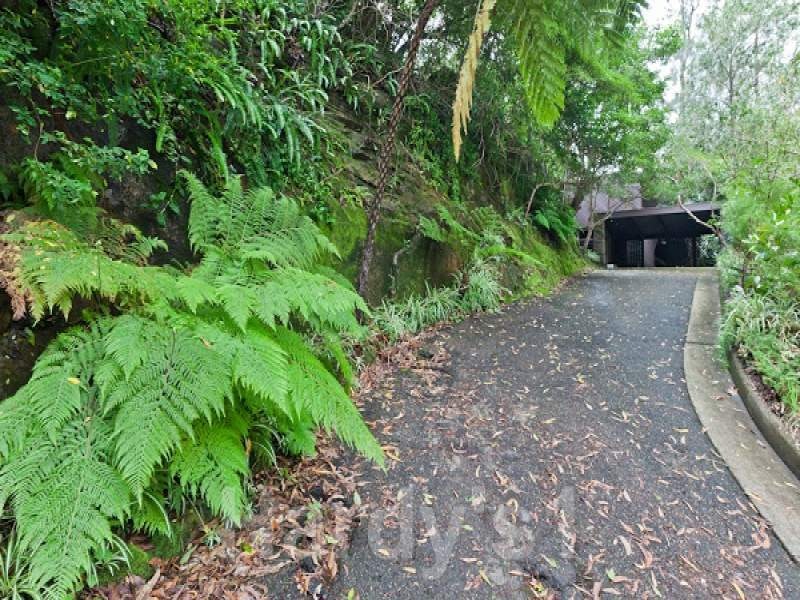 Image of path