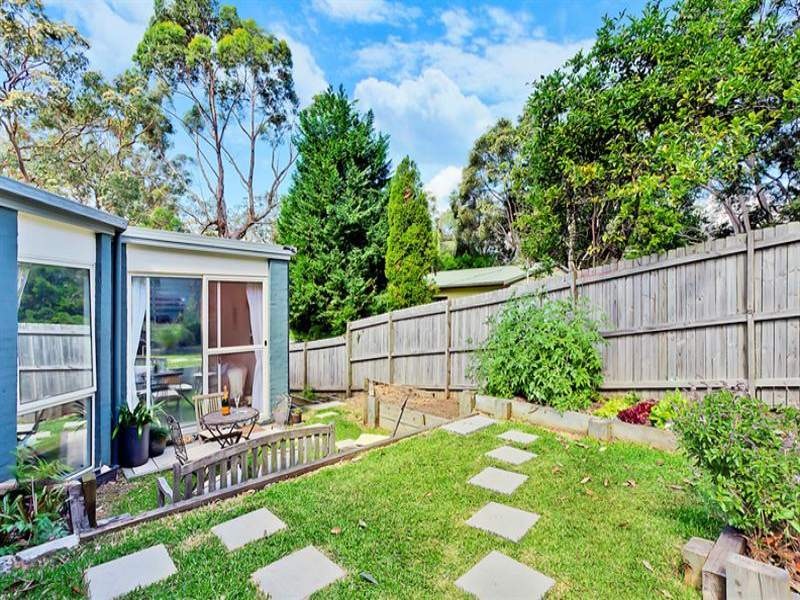 Image of backyard