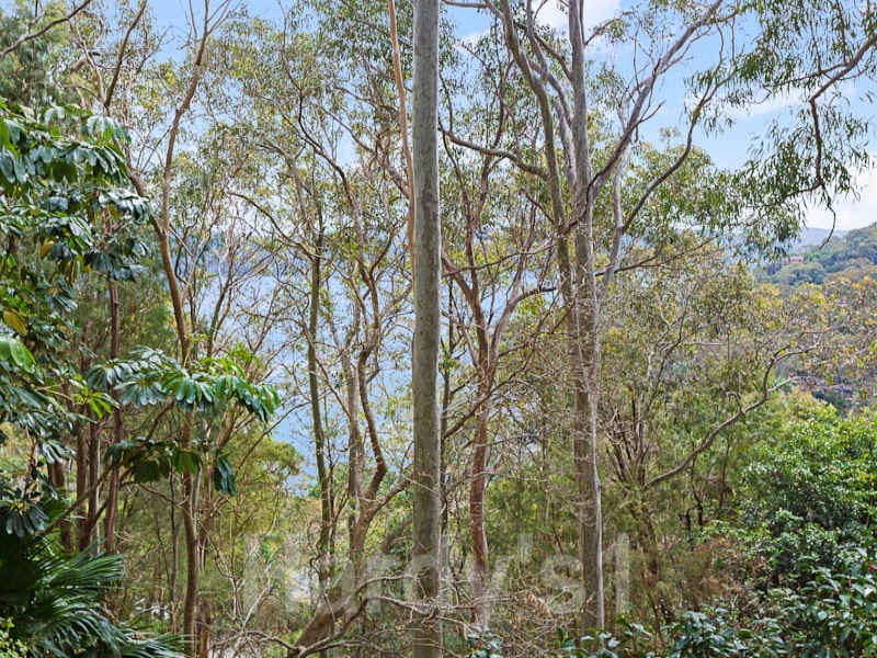 Image of plant