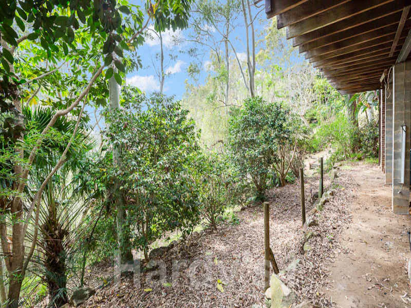 vegetation