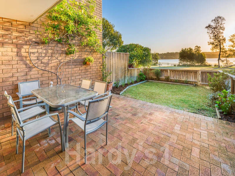 Image of backyard