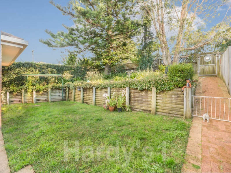 Image of backyard