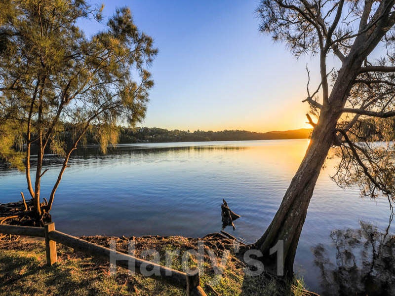 Image of nature