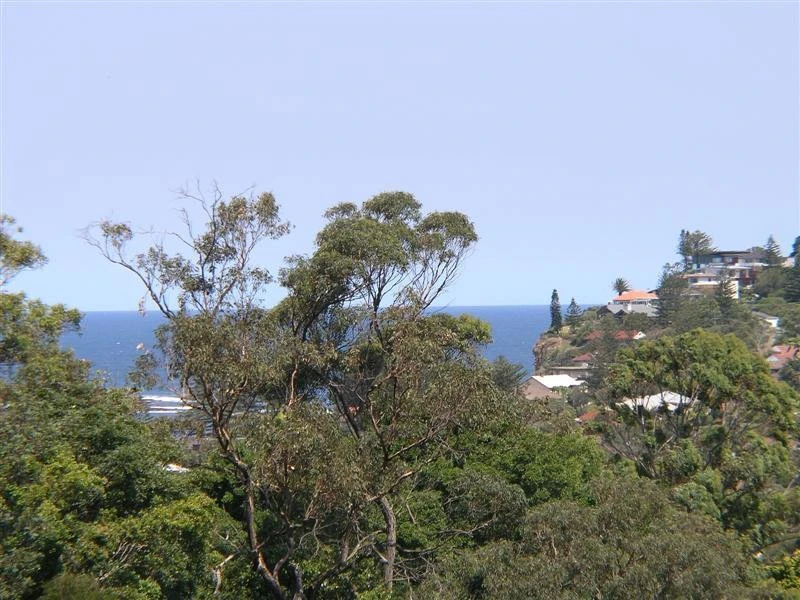 vegetation