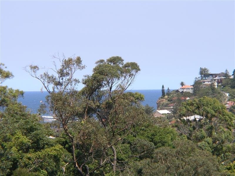 Image of vegetation