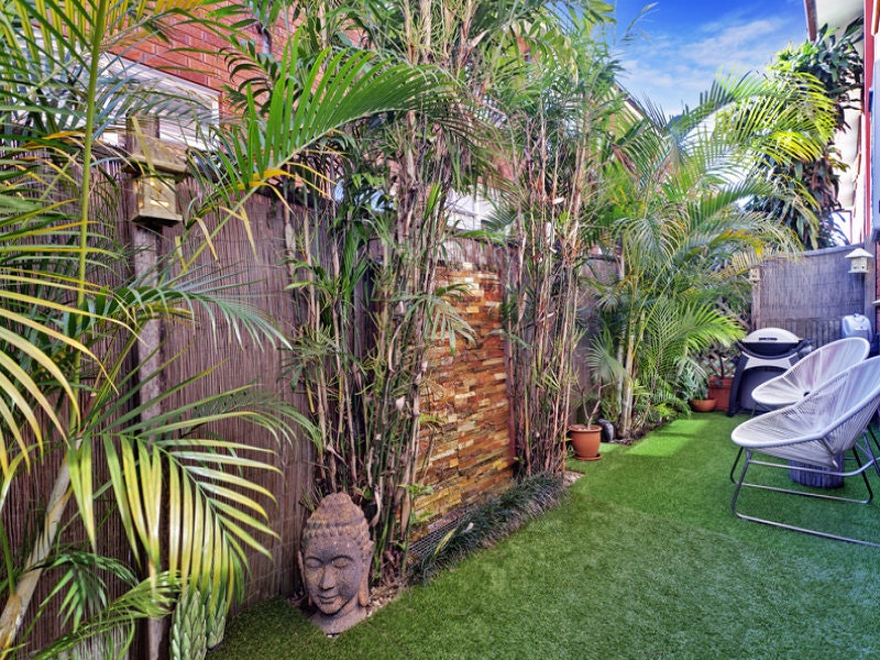 Image of backyard