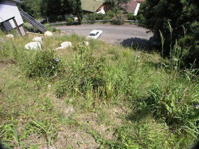 Image of field