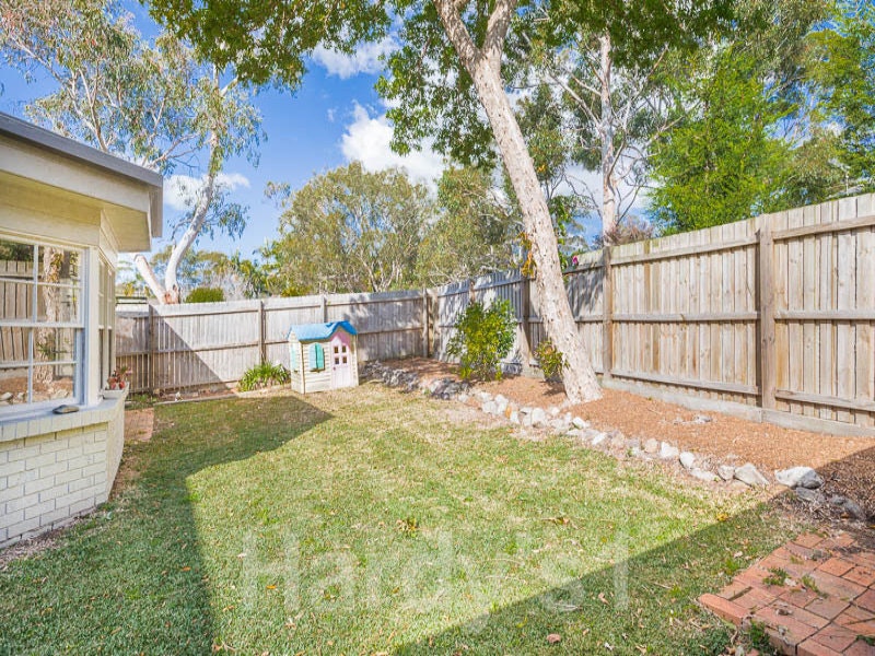 Image of backyard