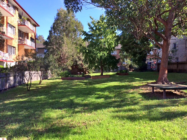 Image of grass