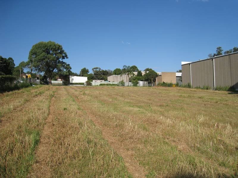 Image of grass