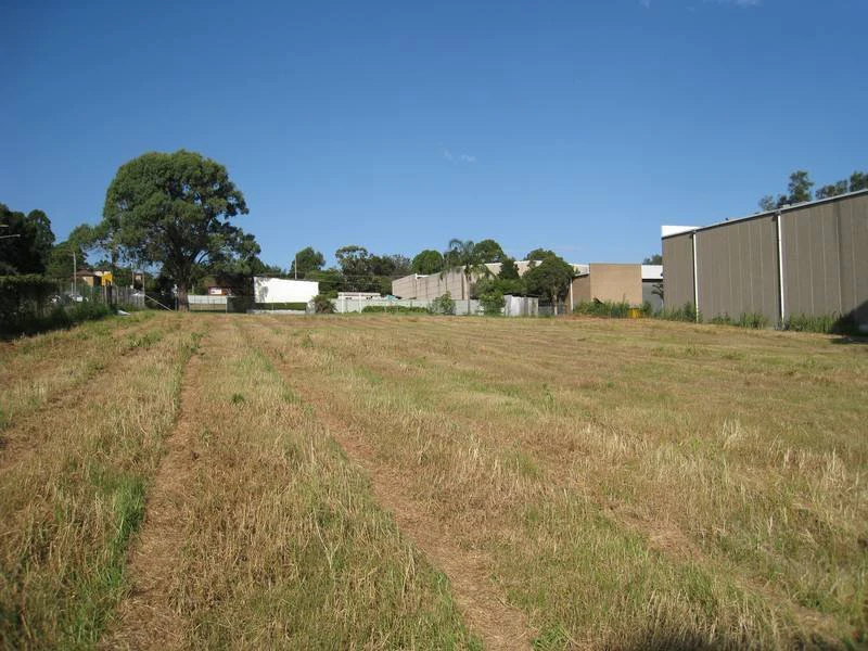 grass